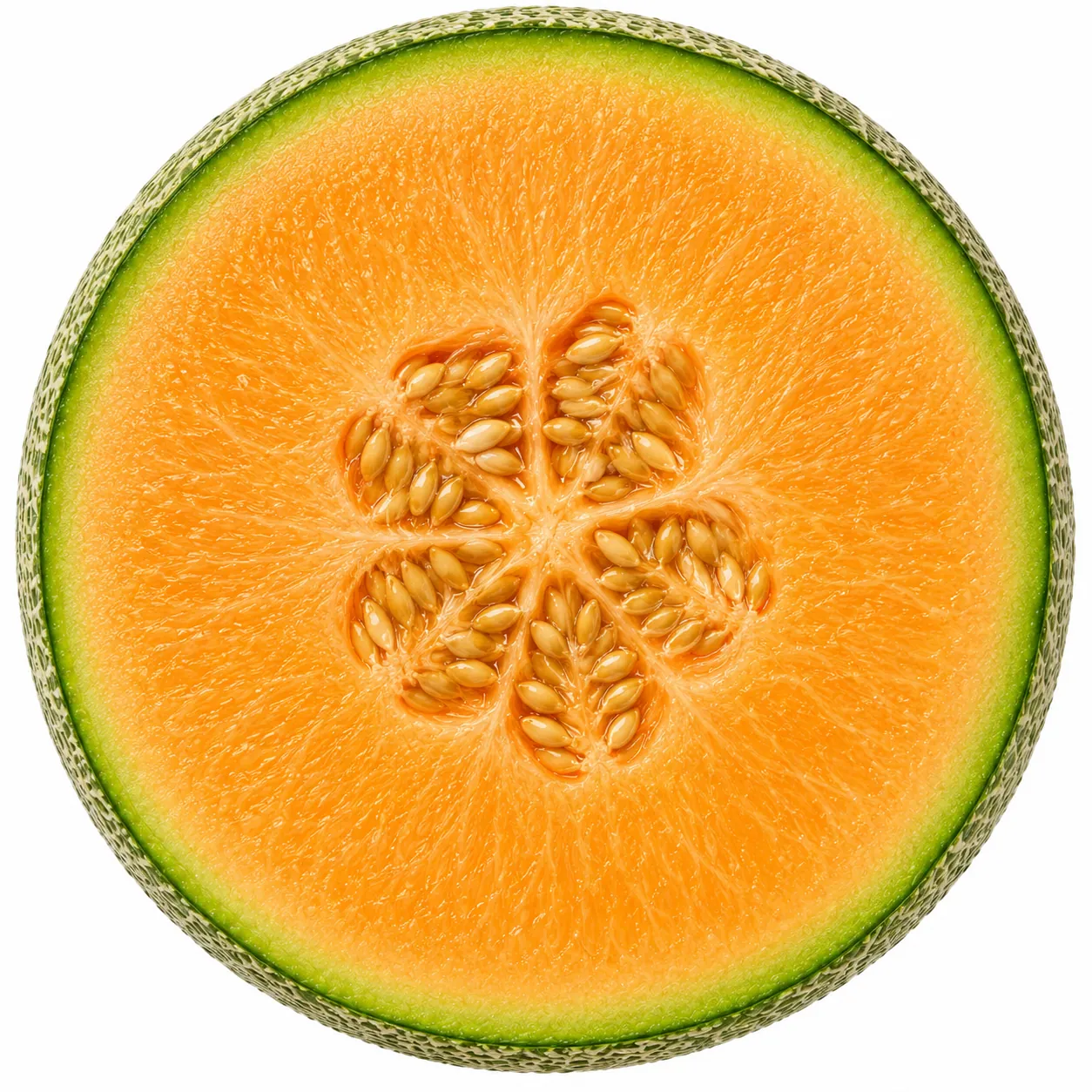 Melon Slice